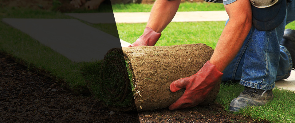 Carmichaels Landscapers